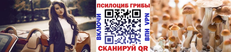купить наркотики цена Вытегра блэк спрут сайт Псилоцибиновые грибы ЛСД